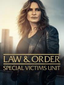法律与秩序：特殊受害者第二十七季