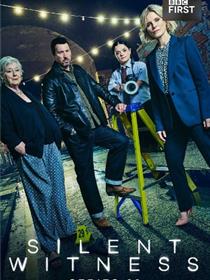 无声的证言第二十九季