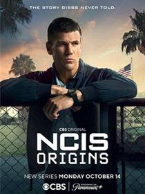 海军罪案调查处：溯源第二季