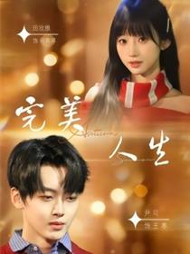 完美人生