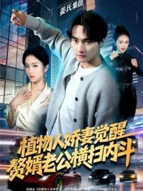 植物人娇妻觉醒，赘婿老公横扫内斗