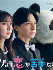 比熊猫更不擅长恋爱的我们