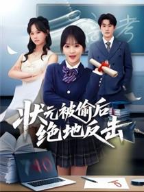 状元被偷后绝地反击