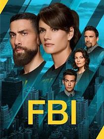 联邦调查局第八季