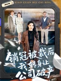 销冠被裁后我转身让公司破产