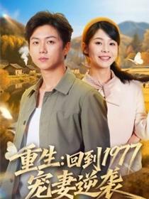 重生：回到1977当奶爸