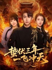 蛰伏三年，一飞冲天