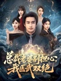总裁老婆别担心，我医武双绝
