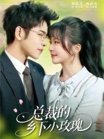 总裁的乡下小玫瑰