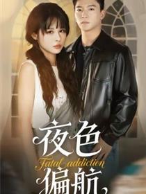 夜色偏航