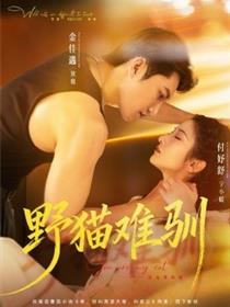 野猫难驯