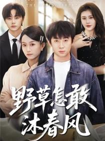野草怎敢沐春风