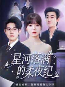 星河落满的柔夜纪