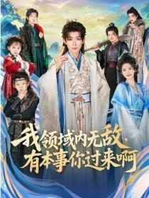 我领域内无敌，有本事你过来啊