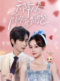 天降人参顾先生别跑