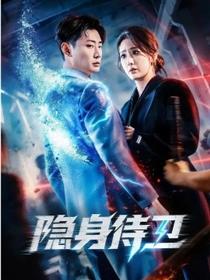 隐身侍卫