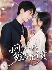 小可怜一胎多宝母凭子贵