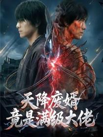 天降废婿竟是满级大佬