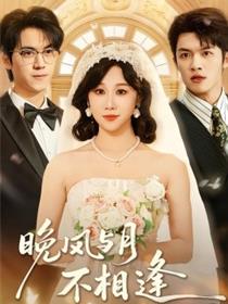 晚风与月不相逢