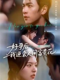 夜先生的小欢喜 好孕后我逆袭人间富贵花