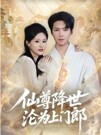 仙尊降世沦为上门郎