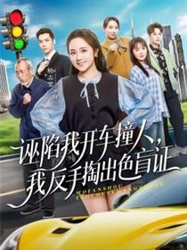 诬陷我开车撞人，我反手掏出色盲证