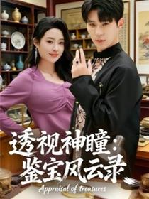 透视神瞳：鉴宝风云录