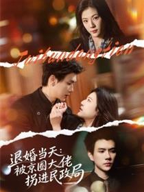 退婚当天：被京圈大佬拐进民政局