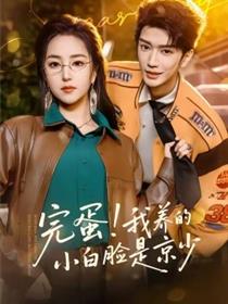 完蛋！我养的小白脸是京少