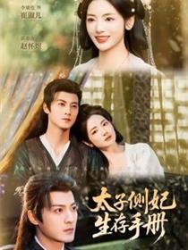 太子侧妃生存手册