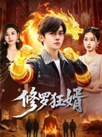 修罗狂婿