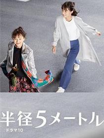 半径5米