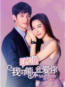 我可能不会爱你