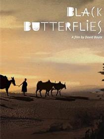 黑蝴蝶2024