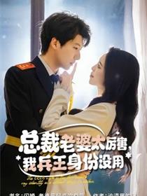 总裁老婆太厉害，我兵王身份没用