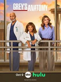 实习医生格蕾第二十二季